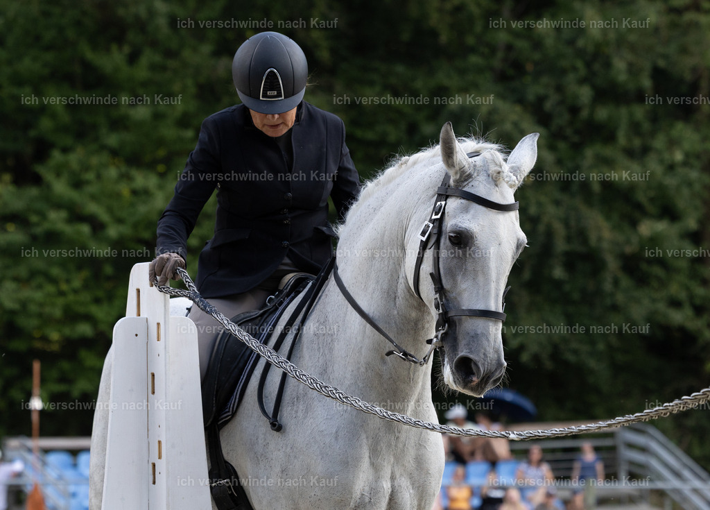 WS_SPEED_43_KerstinBernhardt-11 | working equitationturnier fotograf videograf stoibphotography marixx film working equitation deutschland reitsport turnierfotografie eventfotografie equestrian events