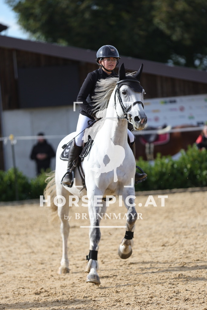 0P6A4870 | Willkommen bei Brunnmayr - Design & Fotografie – Ihrem Spezialisten für Reitturniere und Pferdeveranstaltungen in Oberösterreich, Salzburg und Bayern! Seit über 17 Jahren sind wir leidenschaftlich dabei.