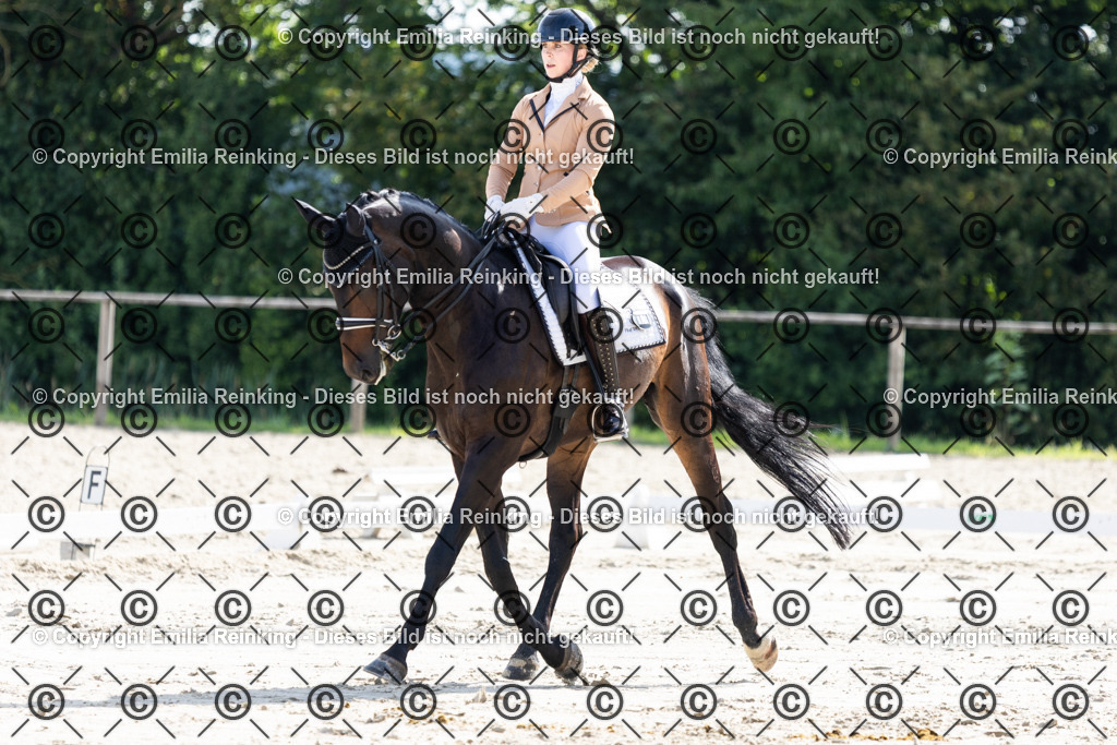 CL5A5781 | Emilia Reinking Fotografie - Realisiert mit Pictrs.com