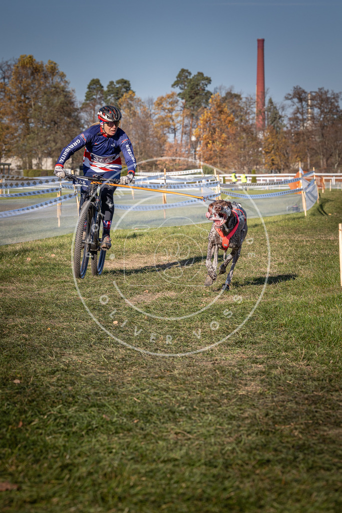 CaniXpix_0L8A6297 | Hundefotografie, Tierfotograf, Pfotenfotografie, Fotoshooting Hund, Hunde Portrait, Hundesport, Hundeportraits, Heideshooting, Hunde, Sportfotograf, Hundefotograf, Turnierhundsport, THS,  - Realisiert mit Pictrs.com