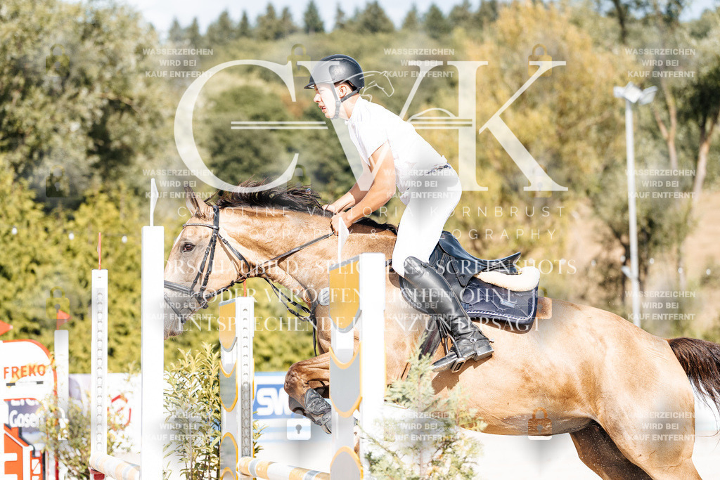 CK909168 | Turnierfotografie Pferdefotografie Trier Rheinland-Pfalz Pferdesport Reitsport Tierfotografie Sportfotografie Pferdevideo Pferdevideografie Equestrianvideography equestrianphotography  - Realisiert mit Pictrs.com