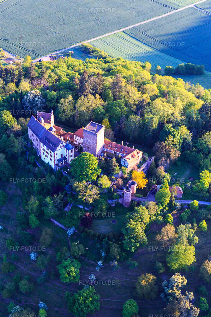 Luftbild: Burg und Burgpark Gamburg im Ortsteil Gamburg in Werbach im Bundesland Baden-Württemberg in Deutschland. Foto: IMG_146246.jpg vom 10.05.2025 durch Werner Riehm/FLY-FOTO.deBurg & Burgpark Gamburg ob der Tauber | Ein Kulturerbe europäischen Ranges