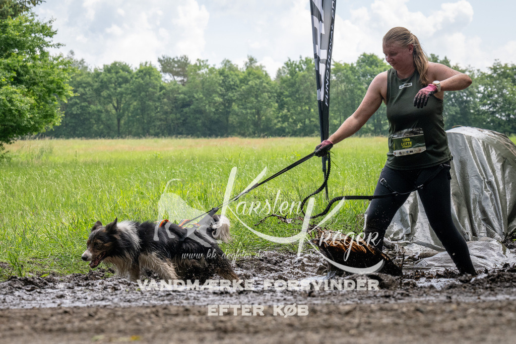 1127_ZZ93073 | kk-dogfotos