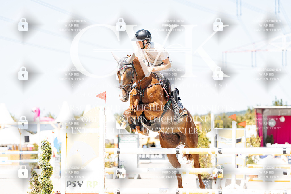CK909393 | Turnierfotografie Pferdefotografie Trier Rheinland-Pfalz Pferdesport Reitsport Tierfotografie Sportfotografie Pferdevideo Pferdevideografie Equestrianvideography equestrianphotography  - Realisiert mit Pictrs.com