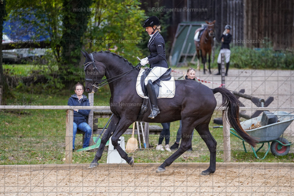 20231007-SN_00898 | Professionelle Turnier- und Reitsportfotografie - mit dem Finger am Auslöser. Pferdebilder aus dem Reitsport von den Turnierfotografen  Bayern , Pferdefotograf Bayern, Pferdeshooting Turnierbilder, Hochzeitsfotograf, Eventfotograf, Hochzeitsbilder