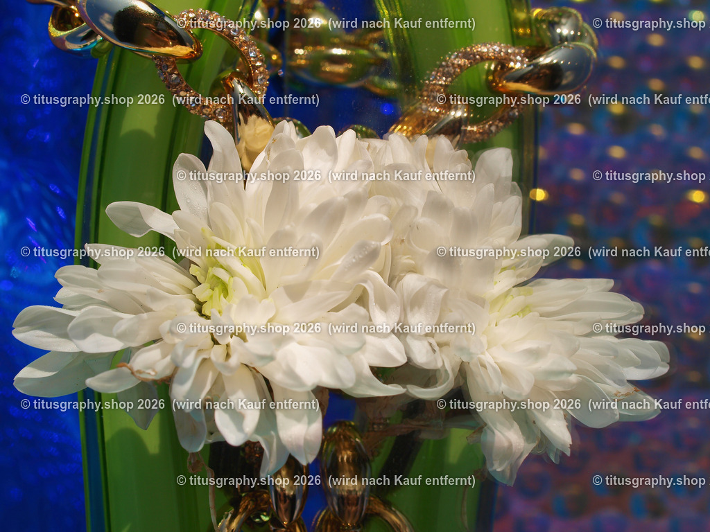 titusgraphy_P7229667-vz-ln | titusgraphy-shop: Geschenkideen mit Qualitätsfotos. titusgraphy-shop: gift ideas with quality photos. titusgraphy-shop: idées cadeaux avec photos de qualité.  - Realisiert mit Pictrs.com