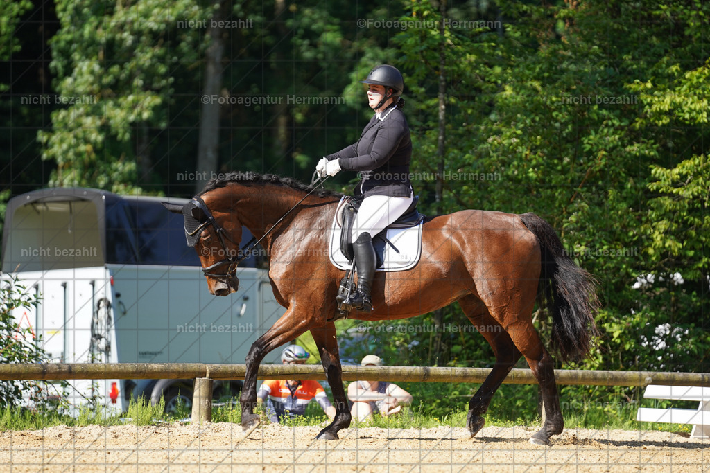 20240706-FAH04607 | Grafing Turnierfotos, Reitverein Ebersberg, Turnierfotografen Bayern, reitsportbilder, Pferdefotograf, reitsportfotograf, Sportbilder, Reitsportfotografie, Fotoagentur Herrmann, Turnierfotograf
