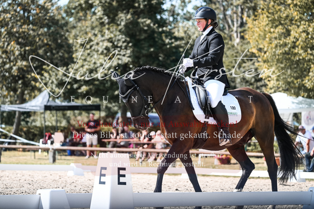 DSC_5003 | Pferde- und Turnierfotografie in Westsachsen. Pferdeportraits, Auftragszeichnungen und intuitive Kunst.