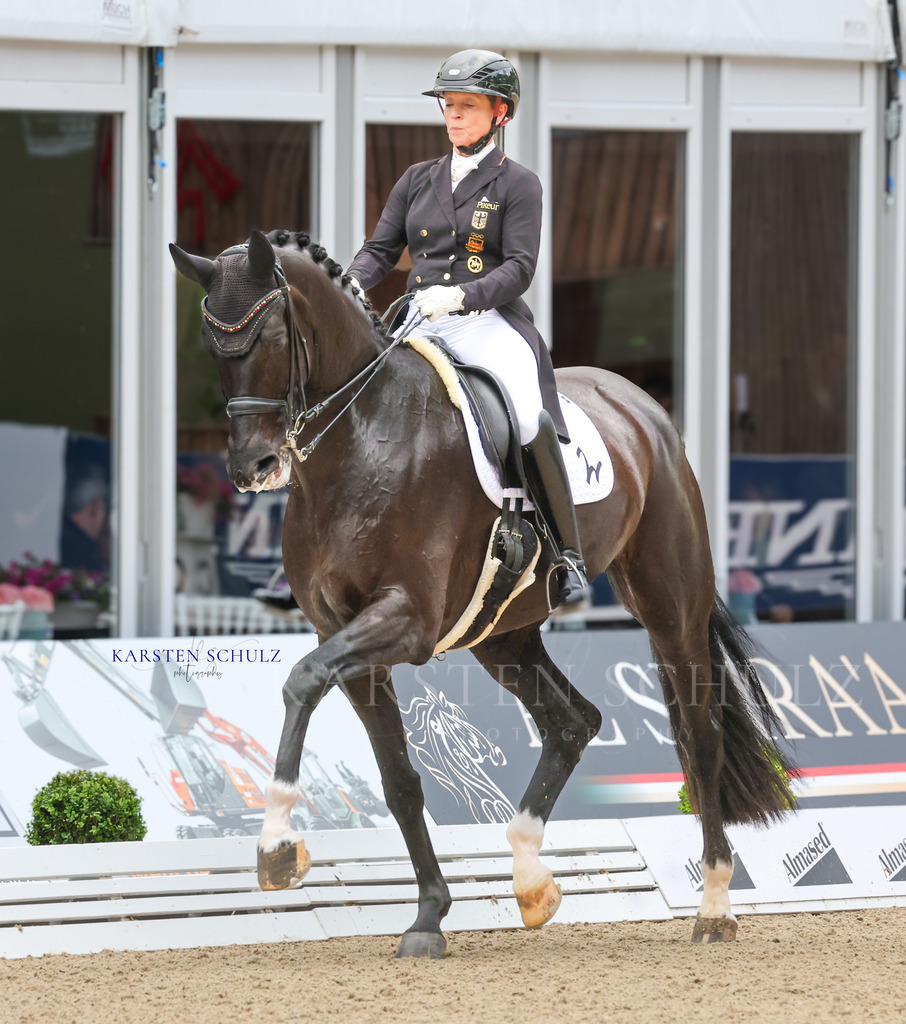 1B3A3773 | Reitsport Reiten