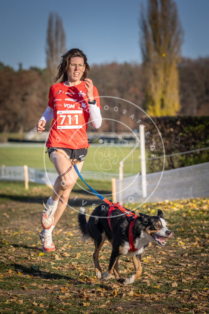 CaniXpix_DV3A1648 | Hundefotografie, Tierfotograf, Pfotenfotografie, Fotoshooting Hund, Hunde Portrait, Hundesport, Hundeportraits, Heideshooting, Hunde, Sportfotograf, Hundefotograf, Turnierhundsport, THS,  - Realisiert mit Pictrs.com