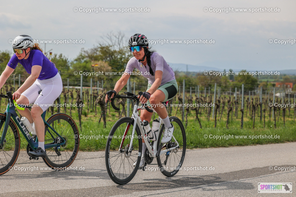 6R3A1332 | Neusiedlersee Radmarathon #neusiedlerseeradmarathon #neusiedlersee #nrm26 #yourpictrs #sportshot_your_pictrs