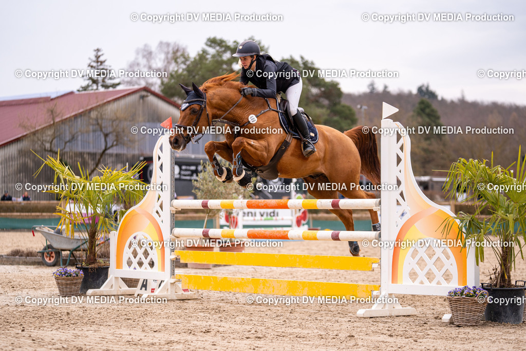 Kranichstein Tag 2-248 | dv-media-shop - Realisiert mit Pictrs.com