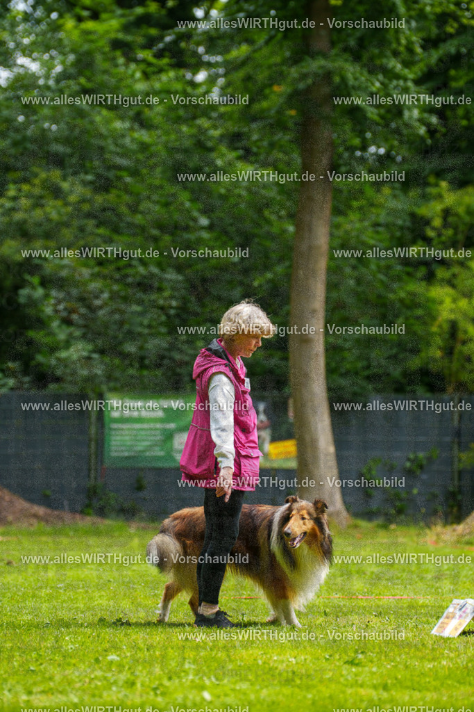 @allesWIRTHgut_Tierfotografie - www.allesWIRTHgut.de - 095105-7R507724 | Professionelle Tierfotografie in Mönchengladbach von Daniel Wirth (allesWIRTHgut). Liebevolle & natürliche Bilder von Hunden & Katzen für unvergessliche Erinnerungen.