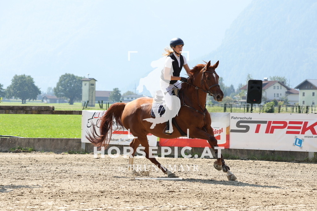 0P6A8388 | Willkommen bei Brunnmayr - Design & Fotografie – Ihrem Spezialisten für Reitturniere und Pferdeveranstaltungen in Oberösterreich, Salzburg und Bayern! Seit über 17 Jahren sind wir leidenschaftlich dabei.