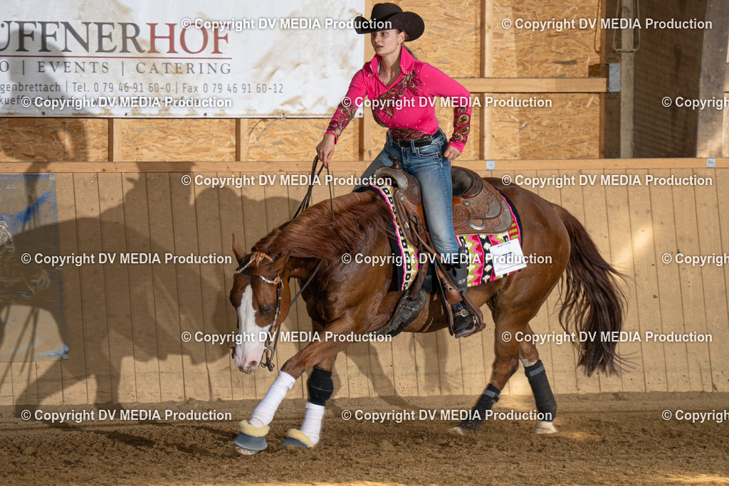 DSC00428 | dv-media-shop - Realisiert mit Pictrs.com