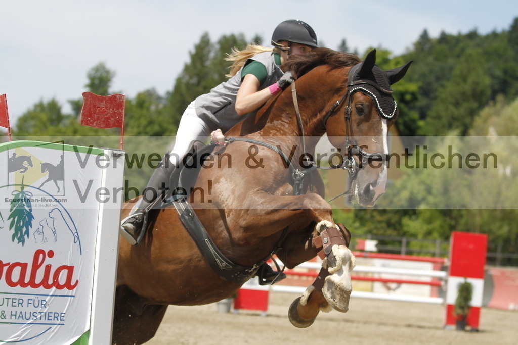 _MG_5228 | equestrian-live-com