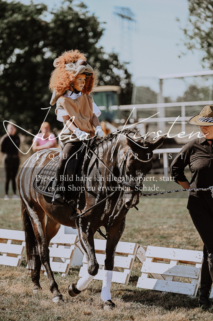 DSC_9108 | Pferde- und Turnierfotografie in Westsachsen. Pferdeportraits, Auftragszeichnungen und intuitive Kunst.