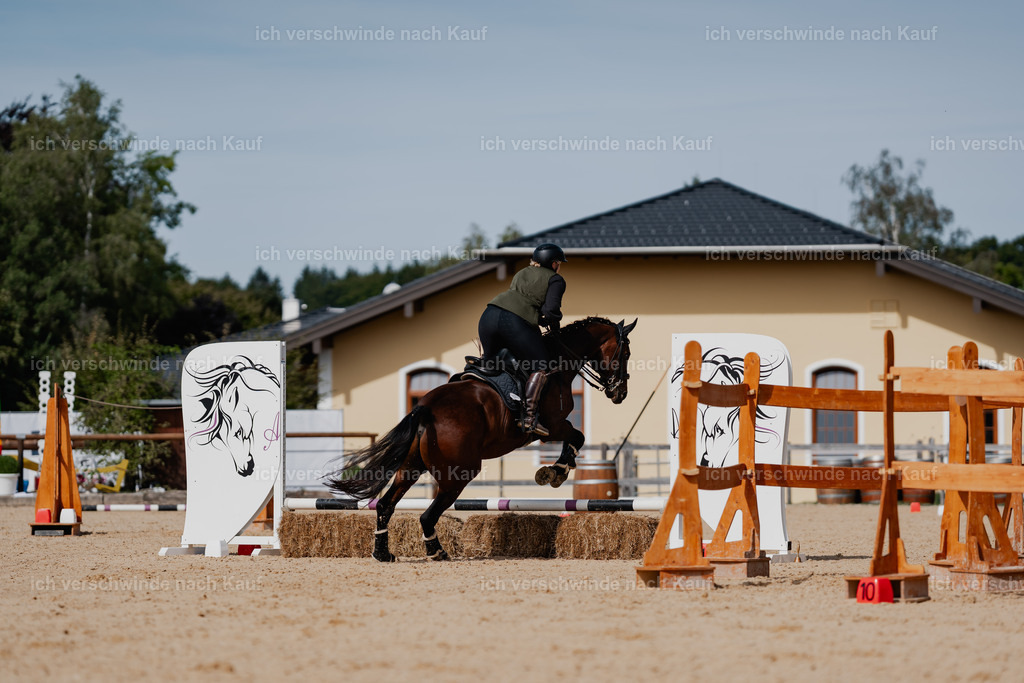 Lara_21_FHC2025-54 | working equitationturnier fotograf videograf stoibphotography marixx film working equitation deutschland reitsport turnierfotografie eventfotografie equestrian events