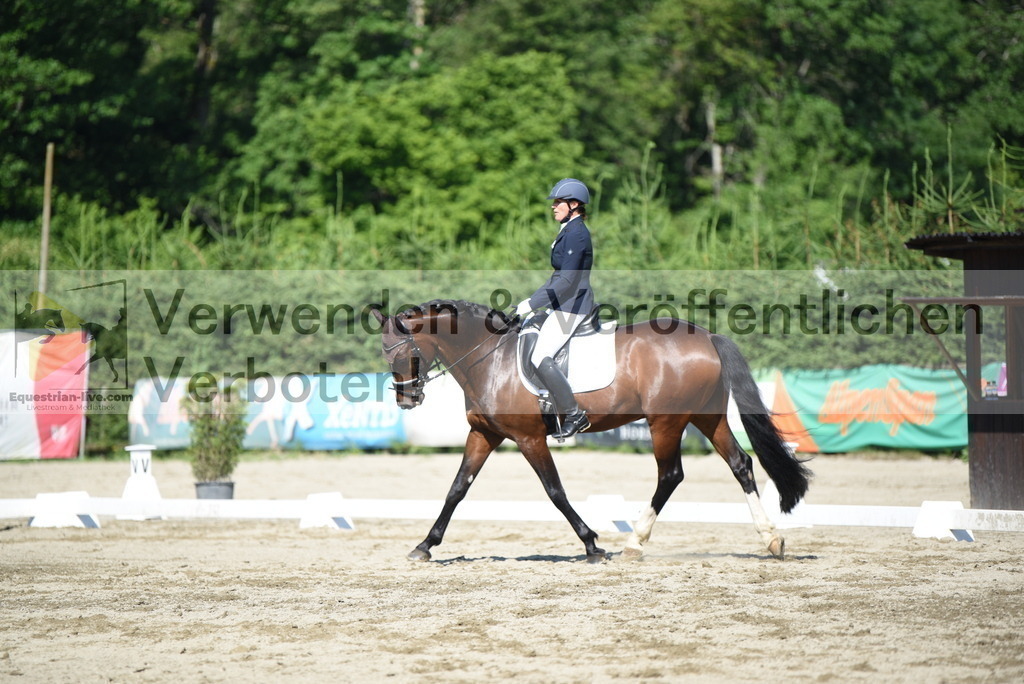 DSC_7762 | equestrian-live-com