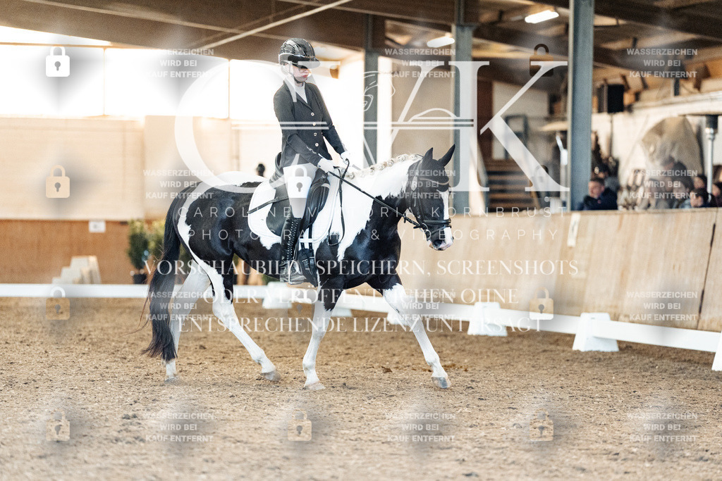 CK907641 | Turnierfotografie Pferdefotografie Trier Rheinland-Pfalz Pferdesport Reitsport Tierfotografie Sportfotografie Pferdevideo Pferdevideografie Equestrianvideography equestrianphotography  - Realisiert mit Pictrs.com