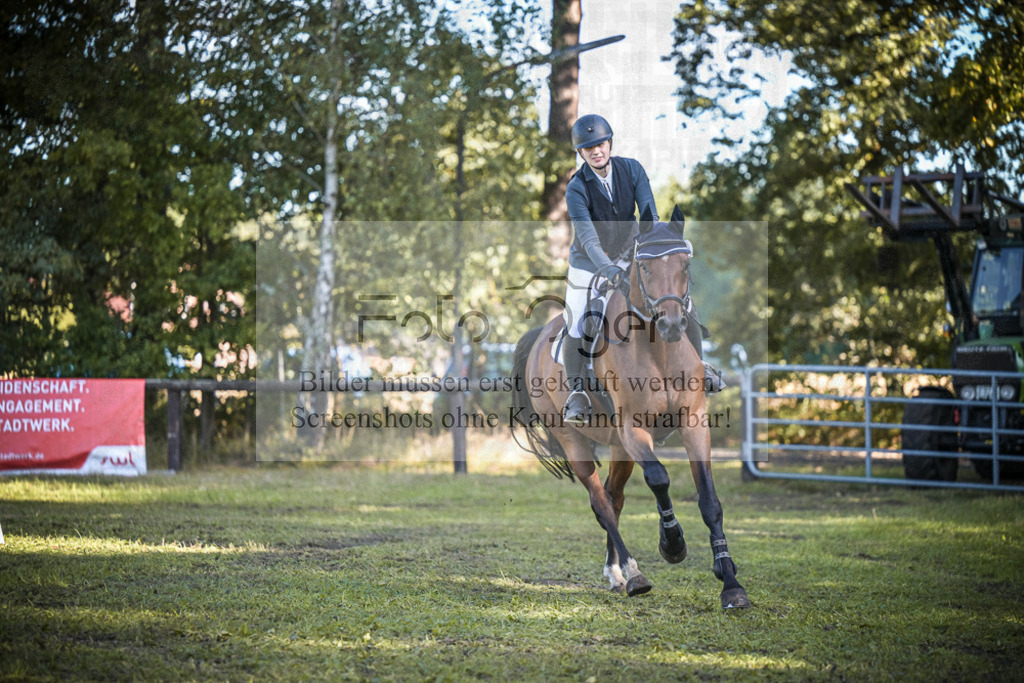 DOS_0884 | Entdecke hochwertige Reitturnierfotos von Foto Oger. Professionell, emotional und authentisch – jetzt Lieblingsmomente im Shop bestellen.Deutschlandweite Turnierfotografie. - Realisiert mit Pictrs.com