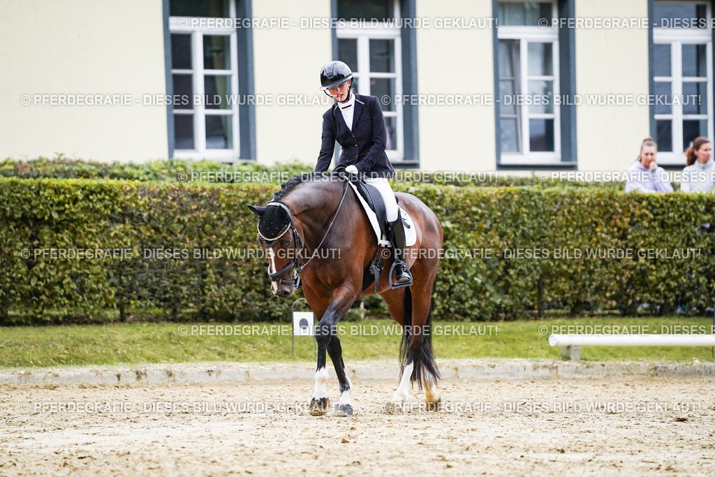 DSC07906 | Pferdegrafie