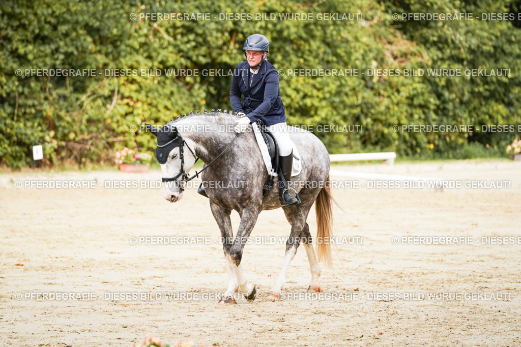 DSC01783 | Pferdegrafie