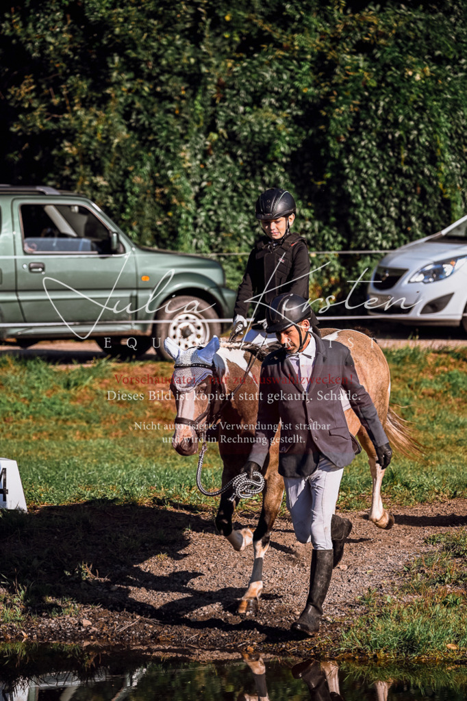 DSC_0334 | Pferde- und Turnierfotografie in Westsachsen. Pferdeportraits, Auftragszeichnungen und intuitive Kunst.