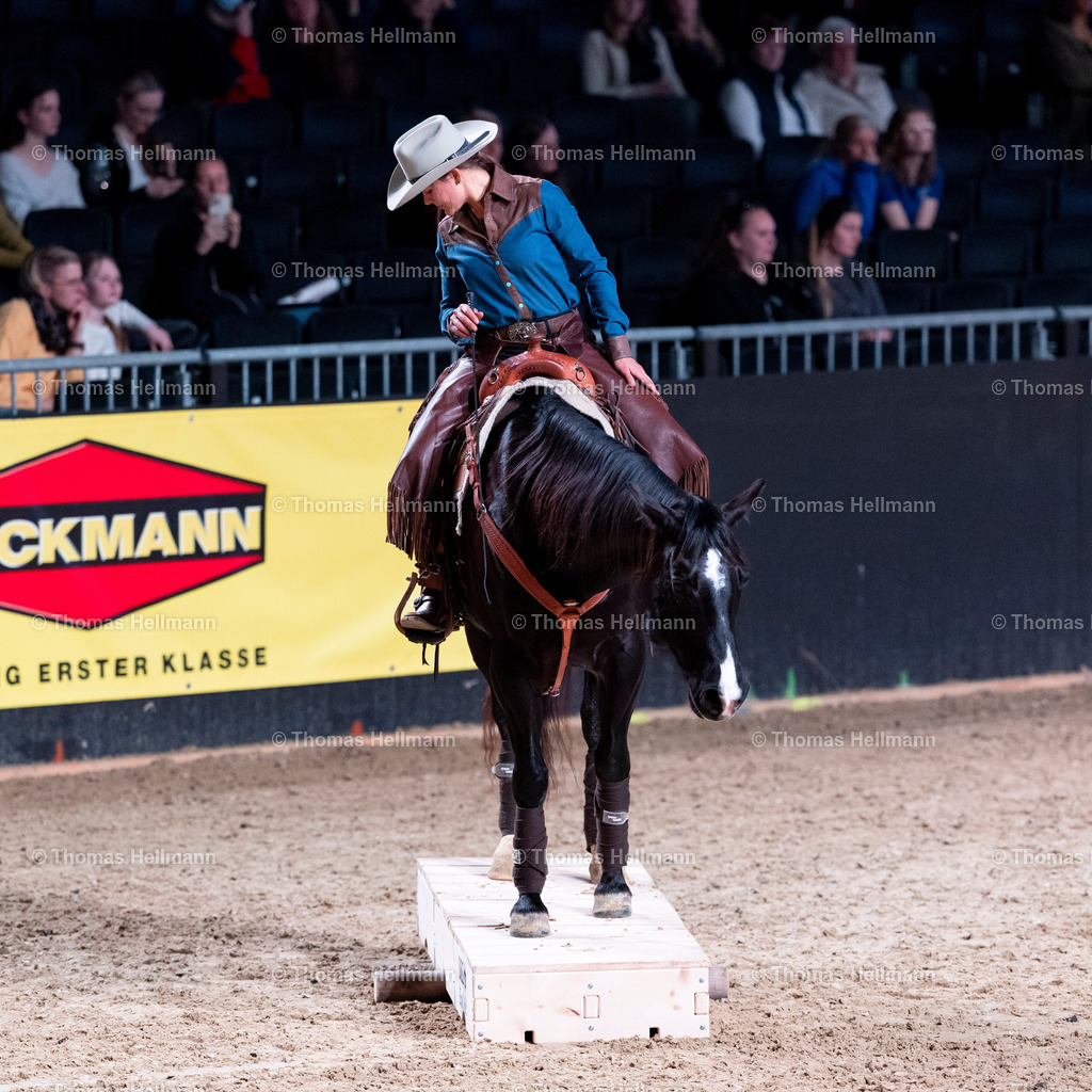 TH_Pro Horse Union_26466 | EQUITANA 2025 am 06.03.25 in Essen