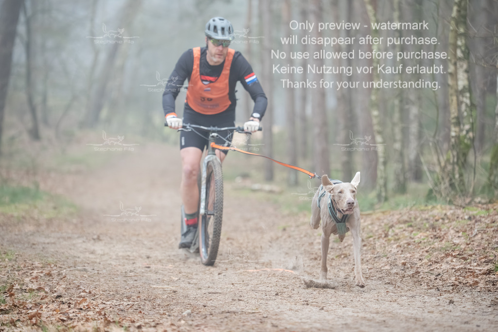 Scooter1-118 | stephaniefillaphotographie - Realisiert mit Pictrs.com