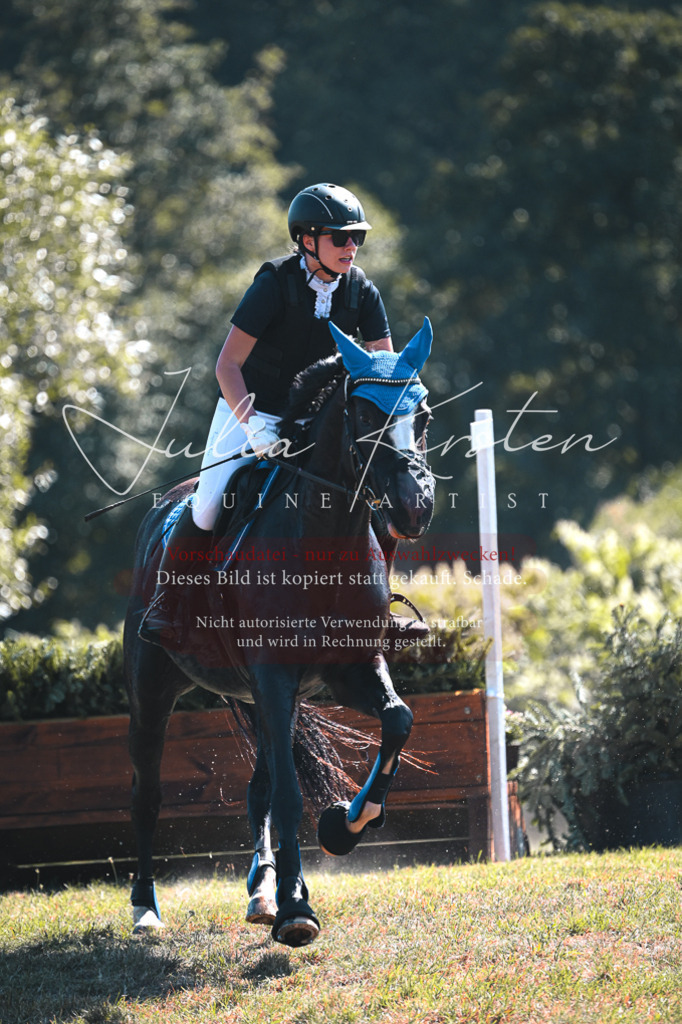 DSC_8117 | Pferde- und Turnierfotografie in Westsachsen. Pferdeportraits, Auftragszeichnungen und intuitive Kunst.