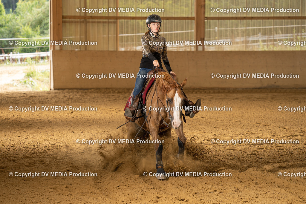 LAU01801 | dv-media-shop - Realisiert mit Pictrs.com