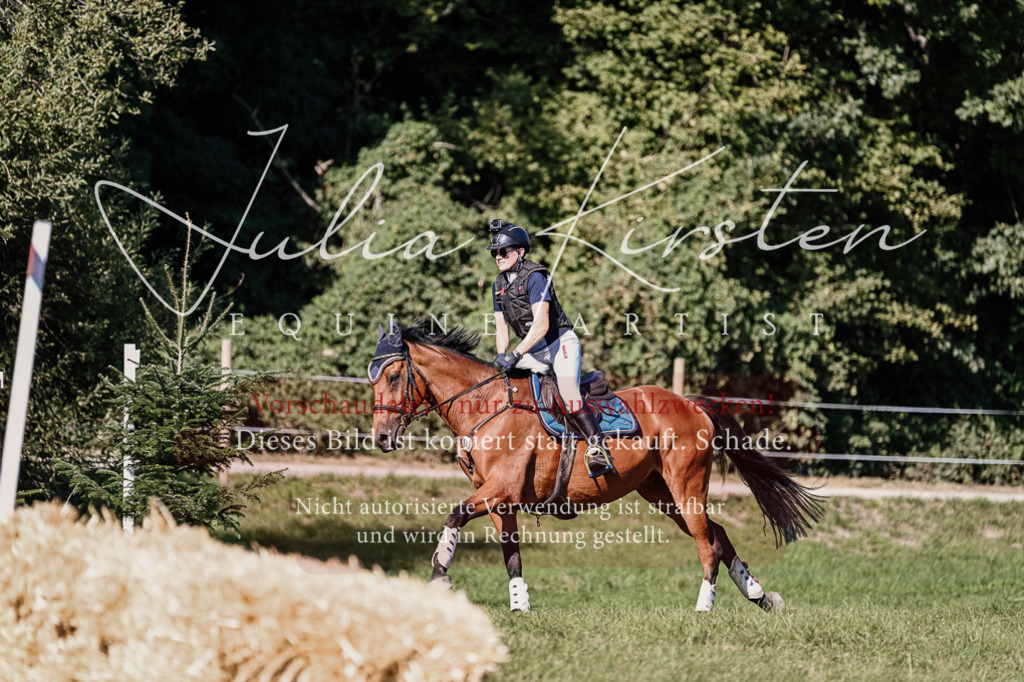 DSC_3383 | Pferde- und Turnierfotografie in Westsachsen. Pferdeportraits, Auftragszeichnungen und intuitive Kunst.