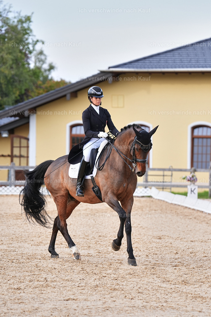 13-186-S___ -Marixx-7089 | working equitationturnier fotograf videograf stoibphotography marixx film working equitation deutschland reitsport turnierfotografie eventfotografie equestrian events