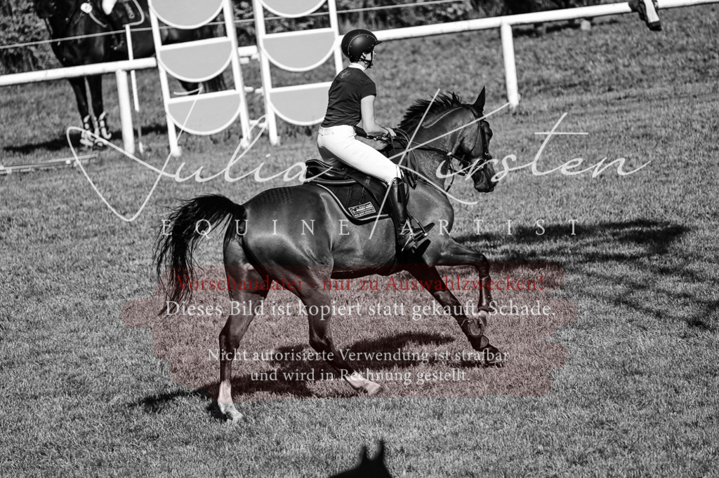 DSC_2209 | Pferde- und Turnierfotografie in Westsachsen. Pferdeportraits, Auftragszeichnungen und intuitive Kunst.