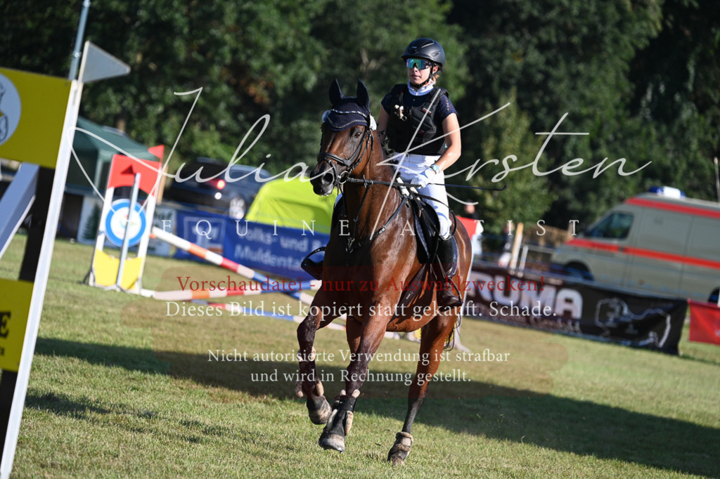DSC_4850 | Pferde- und Turnierfotografie in Westsachsen. Pferdeportraits, Auftragszeichnungen und intuitive Kunst.