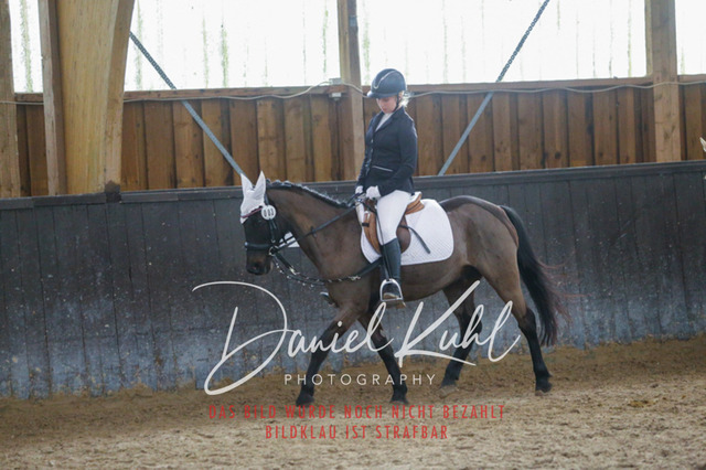 IMG_1512 | Turniersportfotografie; Pferdefotografie; Dressurfotografie