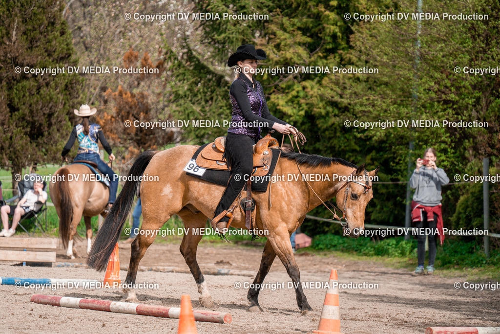 BAL02700 | dv-media-shop - Realisiert mit Pictrs.com