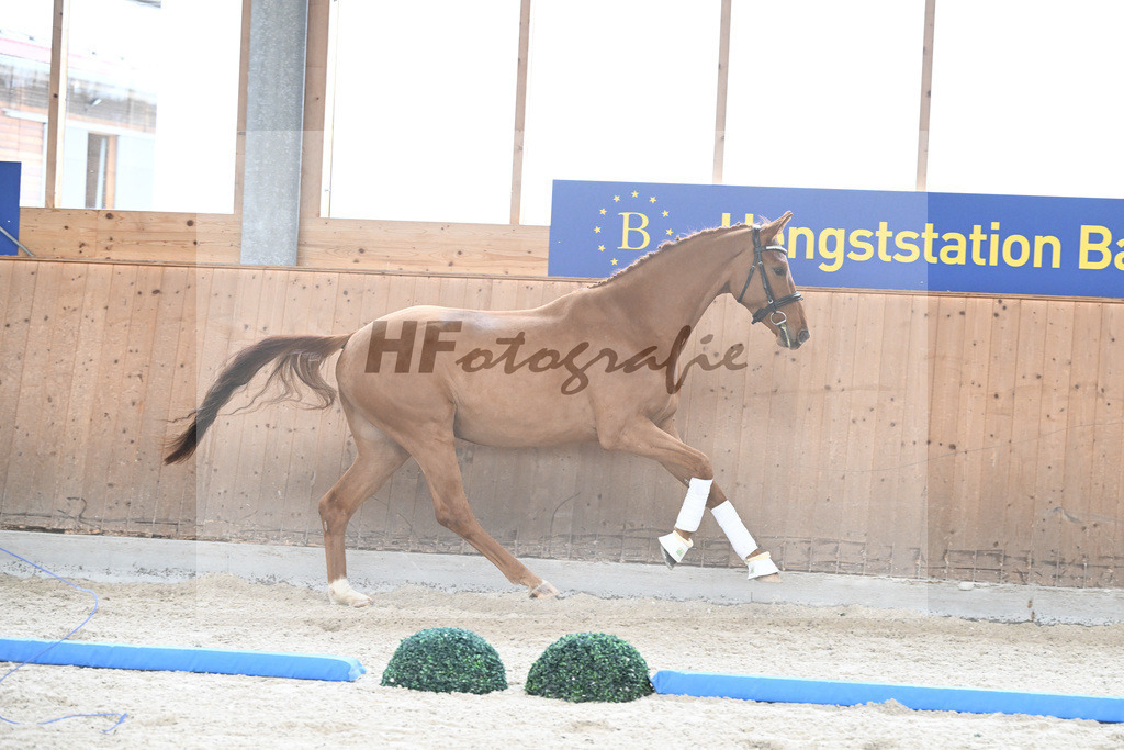 Kat-Nr. 89 Dekanto v. Desperados_Hoffmann_7241672 | hf-fotografie - Realisiert mit Pictrs.com