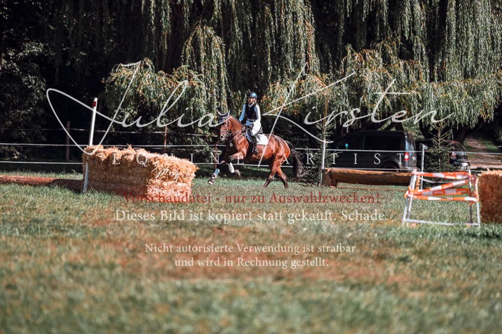 DSC_1092 | Pferde- und Turnierfotografie in Westsachsen. Pferdeportraits, Auftragszeichnungen und intuitive Kunst.