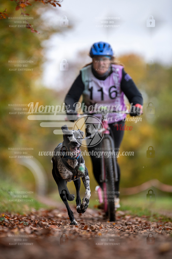 DBT_DAKM_SA_4_11_2023_DS1-36 | mompixphotography