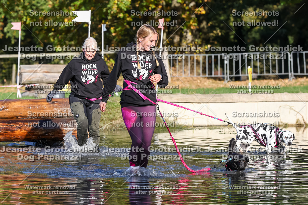 Dog Paparazzi - Strongdog 10-25-8761 | Dog Paparazzi Jeanette Grottendiek Fotografie & Videografie - Realisiert mit Pictrs.com