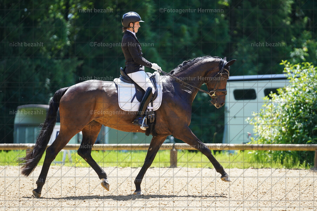 20240705-FAH03673 | Turnierbilder von Grafing, Reitsportbilder, Turnierfotos, Turnierfotografen Bayern, Pferdefotograf, Fotoagentur Herrmann
