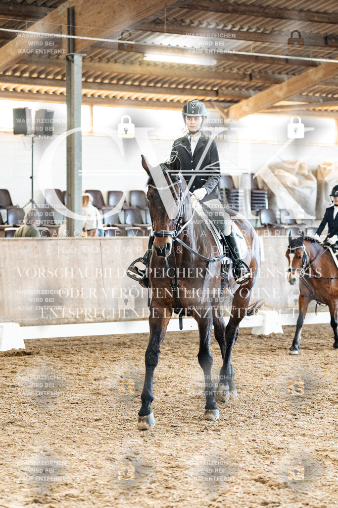 CK900357 | Turnierfotografie Pferdefotografie Trier Rheinland-Pfalz Pferdesport Reitsport Tierfotografie Sportfotografie Pferdevideo Pferdevideografie Equestrianvideography equestrianphotography  - Realized with Pictrs.com