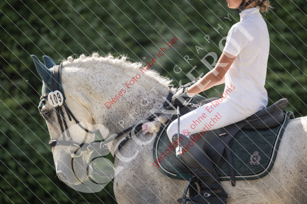 IMG_5905 | Sport-, Event- und Tierfotos in Profiqualität. Einfach auswählen, bestellen und herunterladen. Dein Moment – perfekt festgehalten.