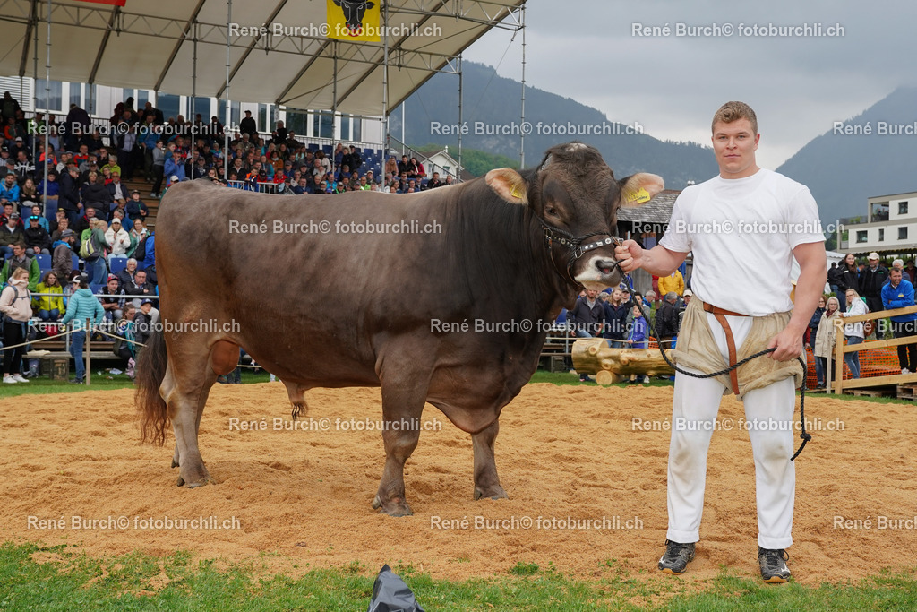 20220508-DSC06841 (2)-3 | René Burch leidenschaftlicher Fotograf aus Kerns in Obwalden.  Hier finden sie Sport, Landschaft und Natur Fotografie.
 - Realisiert mit Pictrs.com