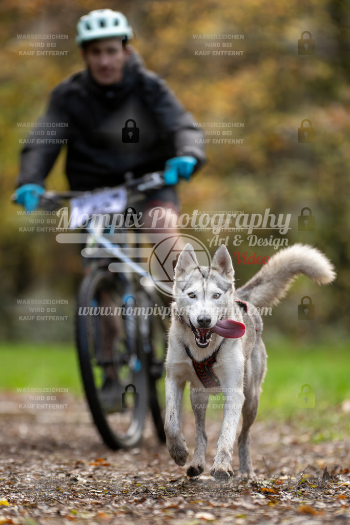 MompixPhotography_Bischwiller23_Bike-18 | PayLife