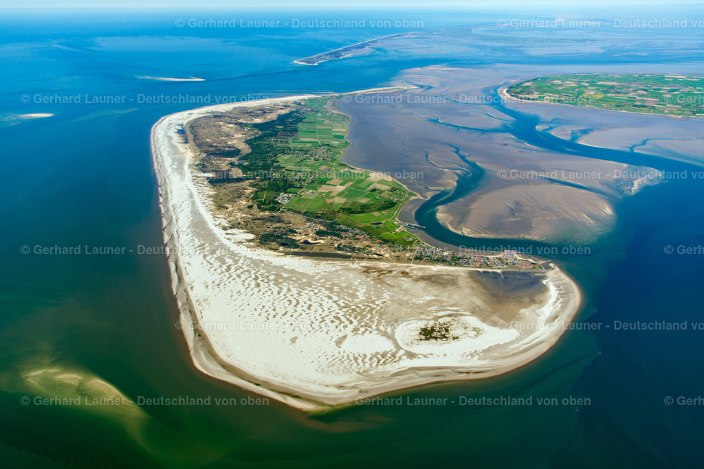 3801690 | Amrum, Nationalpark Schleswig-Holsteinisches Wattenmeer