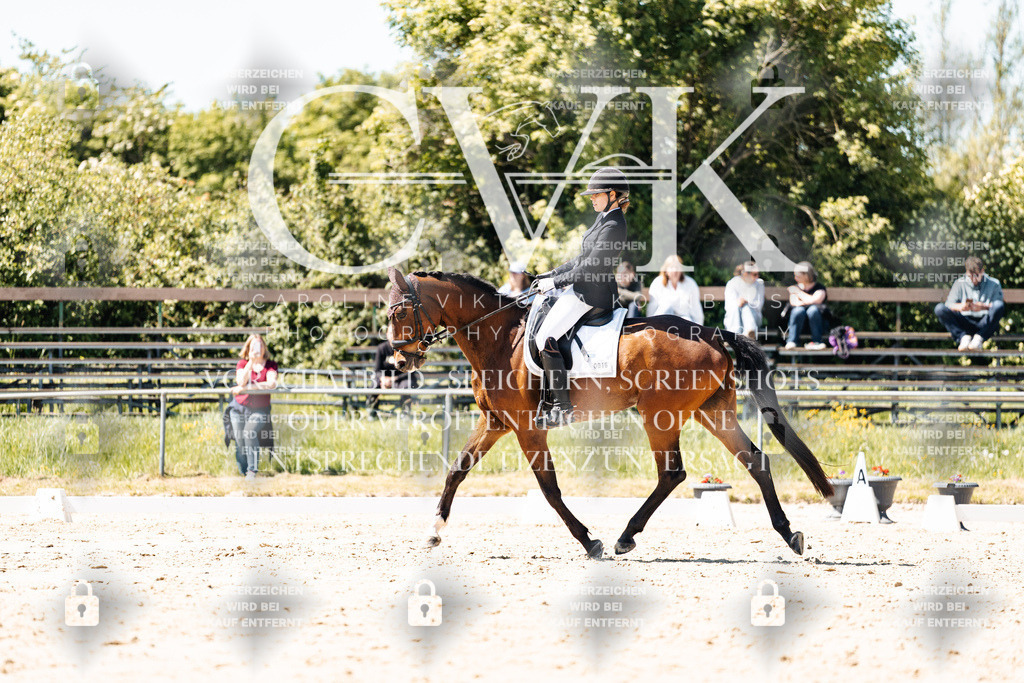 CK905781 | Turnierfotografie Pferdefotografie Trier Rheinland-Pfalz Pferdesport Reitsport Tierfotografie Sportfotografie Pferdevideo Pferdevideografie Equestrianvideography equestrianphotography  - Realisiert mit Pictrs.com