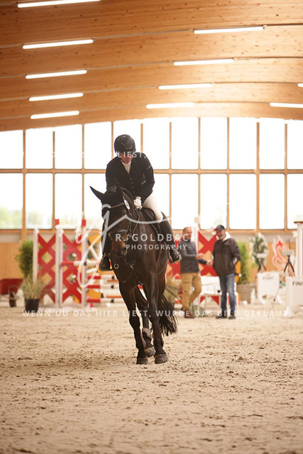 1J2A2839Lisa Charlotte Padberg_ Vinnie Pooh_ Kn488_ Hohen Wieschendorf_ Glantz | Foto- und Videografie für alles rund ums Pferd. Hochwertige Bilder und Videos vom Spring- und Dressurreiten, Voltigieren & mehr. Jetzt aktuelle Veranstaltungen und Preise im Shop ansehen. - Realisiert mit Pictrs.com